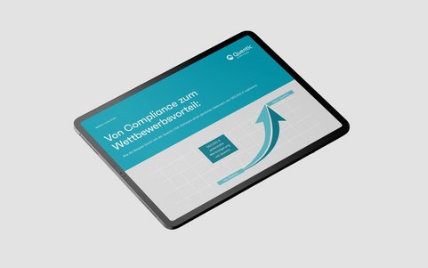 Vorschau Quentic Beispiel-Case Study